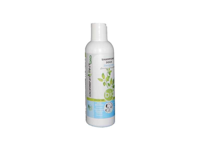 Mildes Bio-Shampoo Jiaogulan